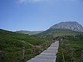 漢拏山山腳登山步道