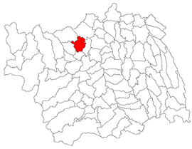 Location in Bacău County