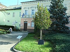 The Lime of the World's Waters in Dolný Kubín, Slovakia 04.jpg