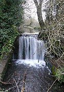 Weir on the River Chess - geograph.org.uk - 2261451.jpg