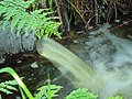 Waterpeilbeheer in natuurgebied de Famberhorst