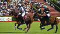 Campeonato Argentino Abierto de Polo, principal liga de clubes de polo a nivel mundial.