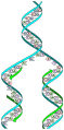 Image 76The replicator in virtually all known life is deoxyribonucleic acid. DNA is far more complex than the original replicator and its replication systems are highly elaborate. (from History of Earth)