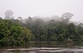 Image 20The Coppename river, one of many rivers in the interior (from Suriname)