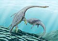 Plesiozauri ca Muraenosaurus cutreieră oceanele jurasice.