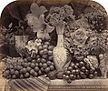 Roger Fenton - Fruit and Flowers, 1860