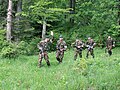 Troops from the 2nd and 61st Mountain Troops Brigade during a military competition