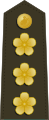 中華民國海軍陸戰隊上校肩章