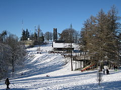 2009-01-11 Top of Gurten near Berne in Winter 27.JPG