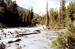 Altai Fluss Kutscherla