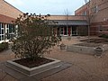 The courtyard in February.