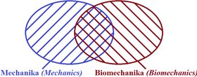 mechanika, biomechanika Vennův diagram