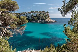 Bosque de pino carrasco alrededor de Cala Galdana (Menorca, España).