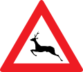 13b: Animals (deer)