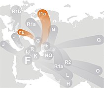 Haplogroup I (Y-DNA).jpg