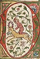 Lettrine enluminée D, représentant un homme sauvage chevauchant un cerf, Bible, Allemagne (1441-1449).