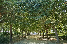 Jardim Municipal do Redondo - Portugal (4924605582).jpg