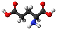 L-Glutamic-acid-3D-balls.png