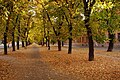 Park at Moyzesova Street