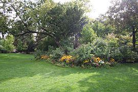 Vegetación del parque.