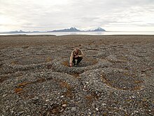 Cercles de pedres causats sobre el permafrost. Arxipèlag d'Svalbard, Noruega