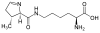 吡咯離胺酸 Pyrrolysine