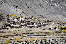 Testa village, Zanskar, Ladakh