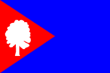 Vlag