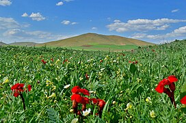 (((مناظر زیبای اطراف جلدیان ))) - panoramio (1).jpg