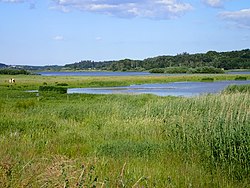 Årselv Engsø. Kik mod øst med Aarhus i horisonten.