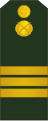 Sergent (Moldovan Ground Forces)[64]