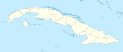 Cacocum ubicada en Cuba