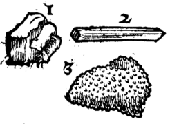 De rerum fossilium-075v.png