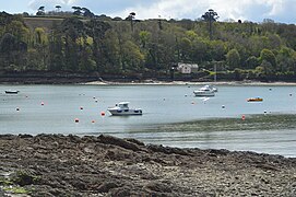 Helford River - geograph.org.uk - 5895906.jpg