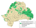 Подручја у Трансилванији у којима је мађарски ко-службени језик (у овим подручјима више од 20% становништва су Мађари)