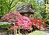 Landgoed Clingendael: inrichting van de Japanse tuin