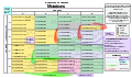 Image 15Selection of disease-causing mutations, in a standard table of the genetic code of amino acids (from Mutation)