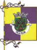 Flag of Vila Flor