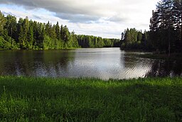 Sjön Rae järv i byn Laiksaare.