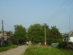 Street in Timashevsky, Timashevsky District