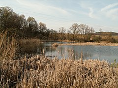 Žebětínský rybník