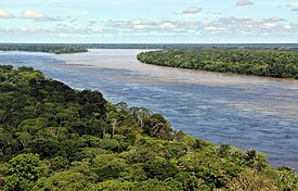 Selva amazónica en las proximidades de Manaos en Brasil.
