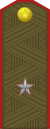 Junior general