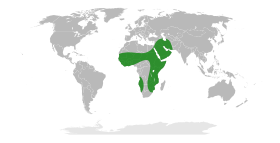 Range of Faidherbia albida