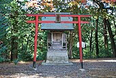 Hachiman torii.