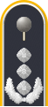 德國空軍上校肩章