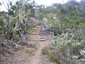 sentier de Mafate