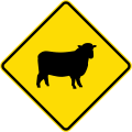 (W18-3.2) Watch for animals (sheep)