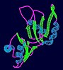 Prp24 protein