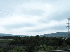 Woodland on the west side of the M1 at Finaghy - geograph.org.uk - 5194532.jpg